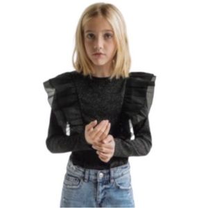 Zara Ruffle Sparkle Top